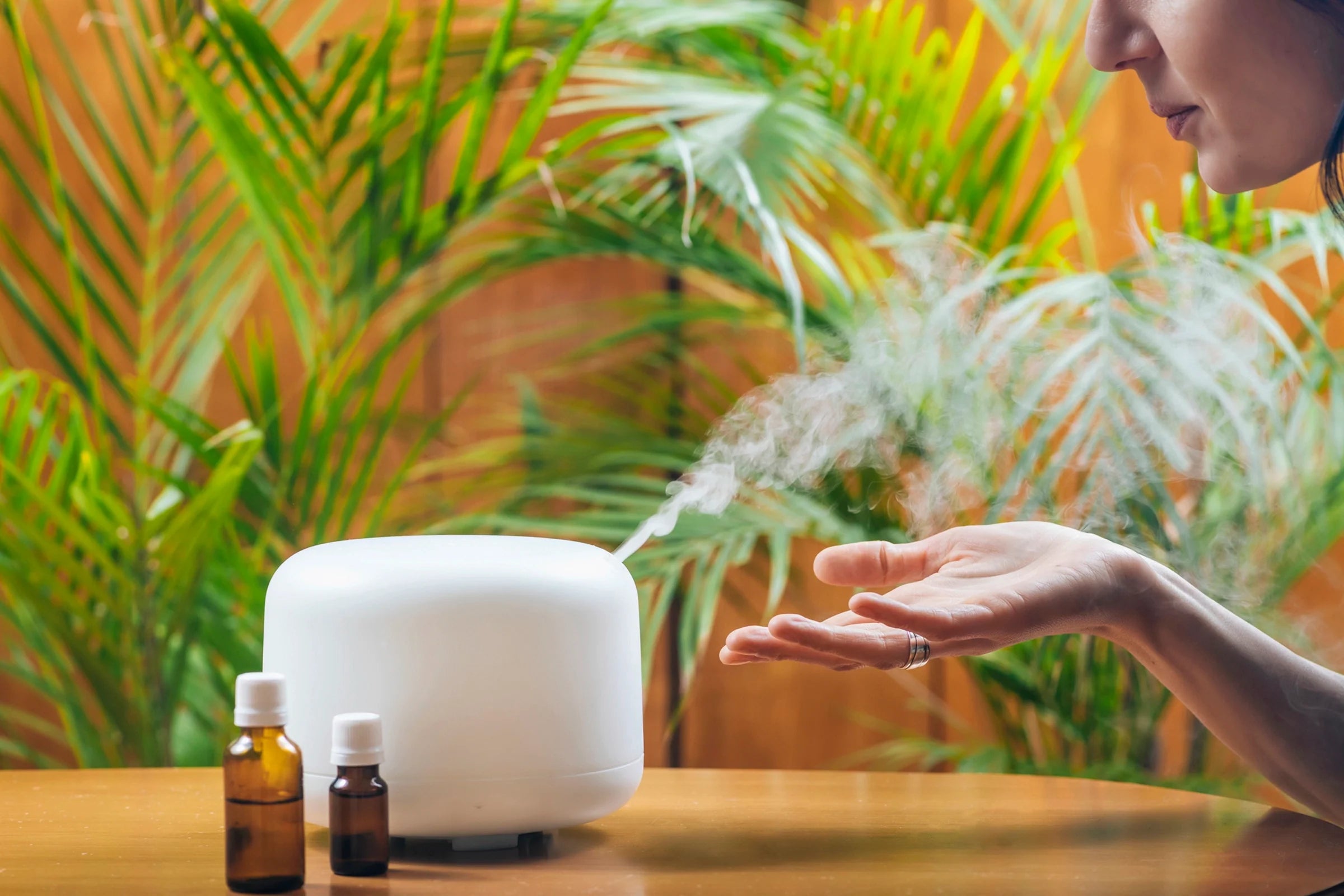 aromatherapy essential oil diffuser releasing mist in a calm indoor setting